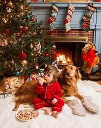 Collection by forever happy • last updated 5 weeks ago. 360 Christmas Waiting For Santa Ideas In 2021 The Night Before Christmas Christmas Christmas Magic