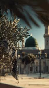 Image result for tbn:64pRPmrpret8tM::sfsaleh.com/9war/uploads/c864ac2676.jpg