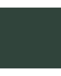 Image result for Dark Polo Green 2002 Bonneville