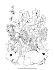 If you see flowers or leaves around, go for a little scavenger hunt and decorate your coloring pages with nature! Spring Coloring Pages Free Printable Pdf From Primarygames