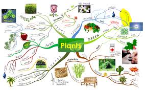Amazing New Mind Map Shared On Biggerplate Plants Mind Map Mind Map Examples Creative Mind Map