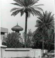 صورة التقطت في الثمانينات في أحد أزقة منطقة الحارثيه في بغداد حيث يظهر في الصوره برج الزوراء baghdad iraq lamp post