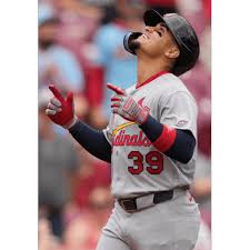 Bryan Torres homers in major league debut at age 28 as Cardinals beat Reds  8-1