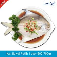 Rebus air lalu masukkan bumbu halus, sereh, jahe. Jual Java Sea Ikan Bawal Putih Utuh 6 7 Pack 650gr Online Desember 2020 Blibli