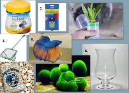 Supplies For A Betta Fish Bowl Betta Fish Bowl Betta Fish Diy Fish Tank