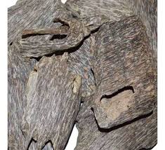 The indian poet kalidasa once wrote: Agarwood Thailand Trat Grade Aaa Buy Agarwood Online Oud And Musk