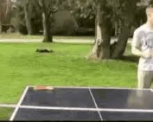 Ik heb nog nooit een progamma van hem bekeken maar als persoon vind ik hem bijzonder grappig xd. De Vries Ready Gif Devries Ready Standing Discover Share Gifs