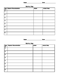 science mystery bag experiment observation and data chart king virtue