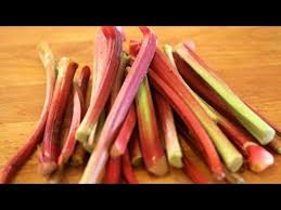 The leaves of the rhubarb plant are toxic—they contain an irritant called oxalic acid—so be sure that they are not ingested. Rhubarb 101 Everything You Need To Know About Rhubarb Youtube