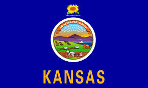 Iowa state flag description, history, color, and more. Gallant State Flags Coloring Idaho Montana Free Flags
