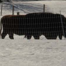 Charles F. Burdick, 91, of Watertown