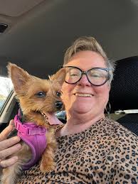 Has anyone else's Yorkie experienced bald patches?