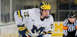 The buffalo sabres made the pick that we've expected for the last few months. 8agzvxv80wagrm