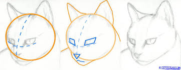 By sara barnes on november 7, 2019. How To Draw A Cat Face Step By Step How To Draw A Cat Head Draw A Realistic Cat Step By Step Pets Cat Face Drawing Cat Drawing Tutorial Animal Drawings