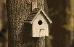 Birds With Human Arms Gif Https Encrypted Tbn0 Gstatic Com Images Q Tbn 3aand9gcrbxb2ddgkt4b2dvwjwze6f2j7bjlk7lq Gew Usqp Cau