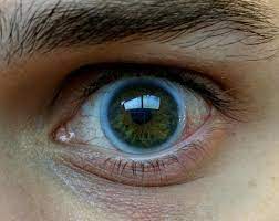 My First Pair Of Contacts Eyes Contact Lenses Online Eye Doctor