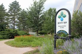 We spent 5 hours on this project. Xeriscaping Wikipedia