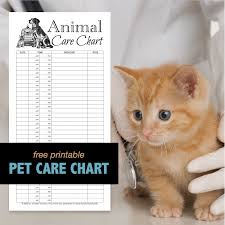 Why not have a go and see how many dog trivia answers you know. Animal Care Chart Free Printable Flanders Family Homelife