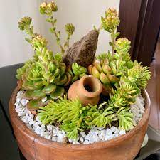 A variety of succulents are delivered in a dish garden container and are easy to maintain. Gthumb Succulent Dish Garden Home Facebook
