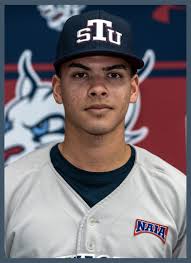 Sun Conference Baseball