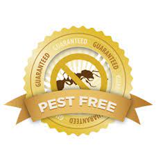 Whatever the job, large or small, north las vegas pest control is ready to meet your needs and exceed your expectations! Rat And Mice Exterminator Removal Control Las Vegas Nv