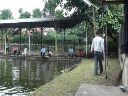 1 Day Tournament On Mina Puri Youtube