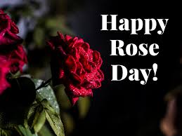 On 7th february 2020, let's dig deeper to find out the viable history shows that the red roses were used as symbol of love since cleopatra days i.e. Happy Rose Day 2020 Images Quotes Wishes Greetings Messages Cards Pictures Gifs And Wallpapers Times Of India
