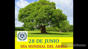 Suecia fue el primer país en celebrar por primera vez el día del árbol, en 1840 con el objetivo de recordar la importancia de los árboles para el ser humano y el planeta mismo, al ser absolutamente esenciales para la vida. 28 De Junio Dia Mundial Del Arbol Youtube