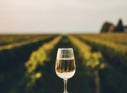The ministers of tourism and transport have weighed in on level 3 regulations which come into effect on 1 june 2020. Implications Of Level 3 Regulations For Wine Businesses Vinpro