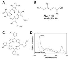 Image result for Porfimer