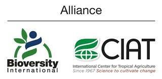 Image result for Macrotyloma daltonii