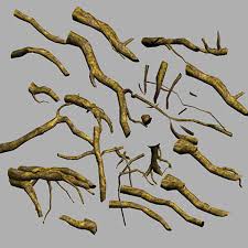 Https Www Turbosquid Com 3d Models 3d Root Drift Driftwood 564836 Referral Cermaka Trees To Plant Tree Roots 3d Model
