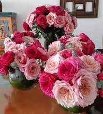 Pin On Everyday Floral Designs