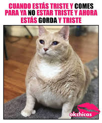 Mi Vida Memes Fun Lol