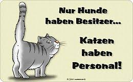 Neben ´katzen haben personal´ ist eine katze abgebildet. Nur Hunde Haben Besitzer Katzen Haben Personal Brettchen Brettchen Fur Kuche Haushalt Online Kaufen Ex Libris