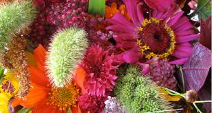 Maybe you would like to learn more about one of these? Flowers Garden City Harvest