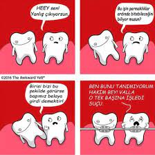 bebeklerde dis cikarma dis cikarma tablosu dis cikarma ne zaman bebek disi bebek disi cikarma ne kadar surer bebek dis cikarma dis komik