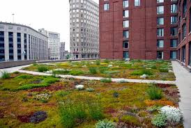 Four Seasons Hotel Boston Green Roof Green Roof Boston Hotels Seasons Hotel