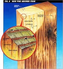Take advantage of unbeatable inventory and prices from quebec's expert in construction & renovation. Wood Finishing Why Does Oak Stain Better Than Pine Bestlife52