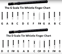 g vs d comparison tin whistle finger chart in 2019 tin