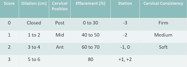 Image result for Bishop Score