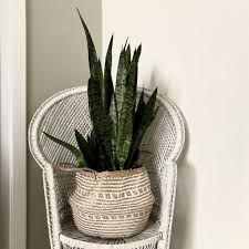 Check spelling or type a new query. How To Plant In Pots Without Drainage Holes 4 Simple Solutions My Tasteful Space