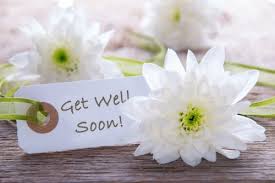 The little flowers are rising and blooming; Get Well Flowers From The House Of Flowers Local Auburndale Fl Flori