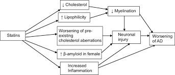 Possible Adverse Effects Of Statins In Dementia Download