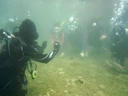Intro To Diving My First And Definitely Not Last Scuba Diving Experience
