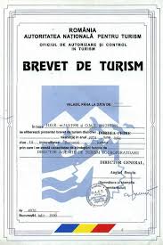 Organigrama unei agentii de turism. Referat Managementul Agentiei De Turism Referat