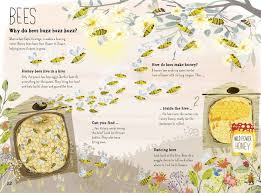 The Big Book Of Bugs Yuval Zommer 9780500650677 Amazon Com Books Book Design Layout Bee Book Big Book