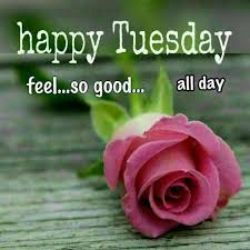 Check spelling or type a new query. 191 Good Morning Tuesday Images Wishes Photos And Wallpaper