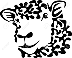 Black And White Sheep Drawing Sheep Head Sheep Silhouette Sheep Drawing Sheep Vector