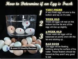 How To Tell If An Egg Is Fresh Lifeprotips